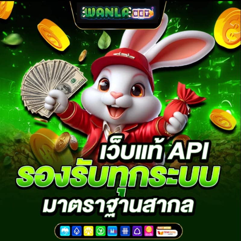 เว็บ api แท้